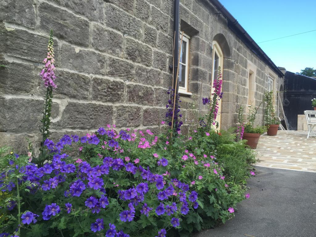 Hazel Manor Guest House Harrogate Exterior photo