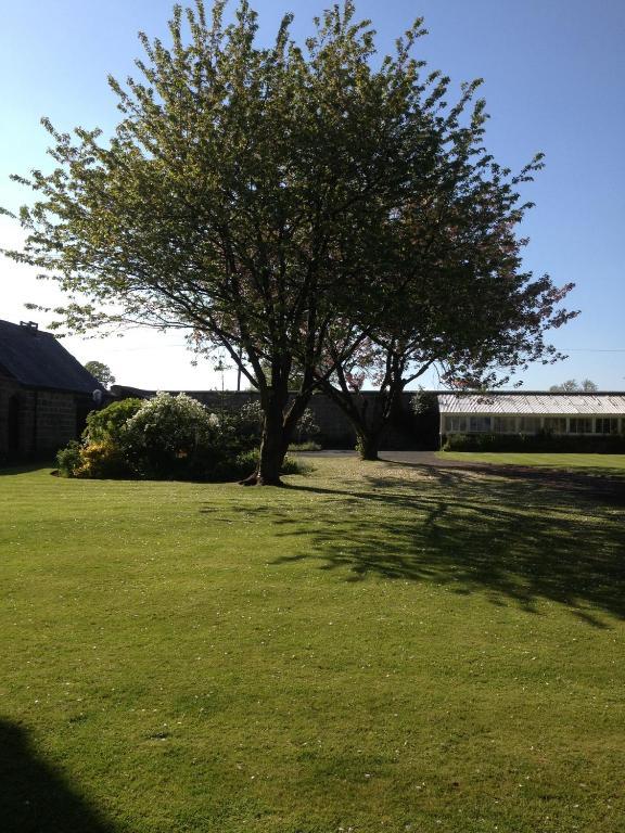 Hazel Manor Guest House Harrogate Exterior photo