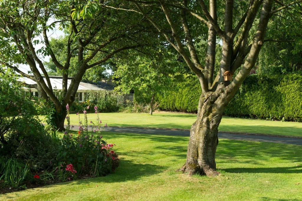 Hazel Manor Guest House Harrogate Exterior photo
